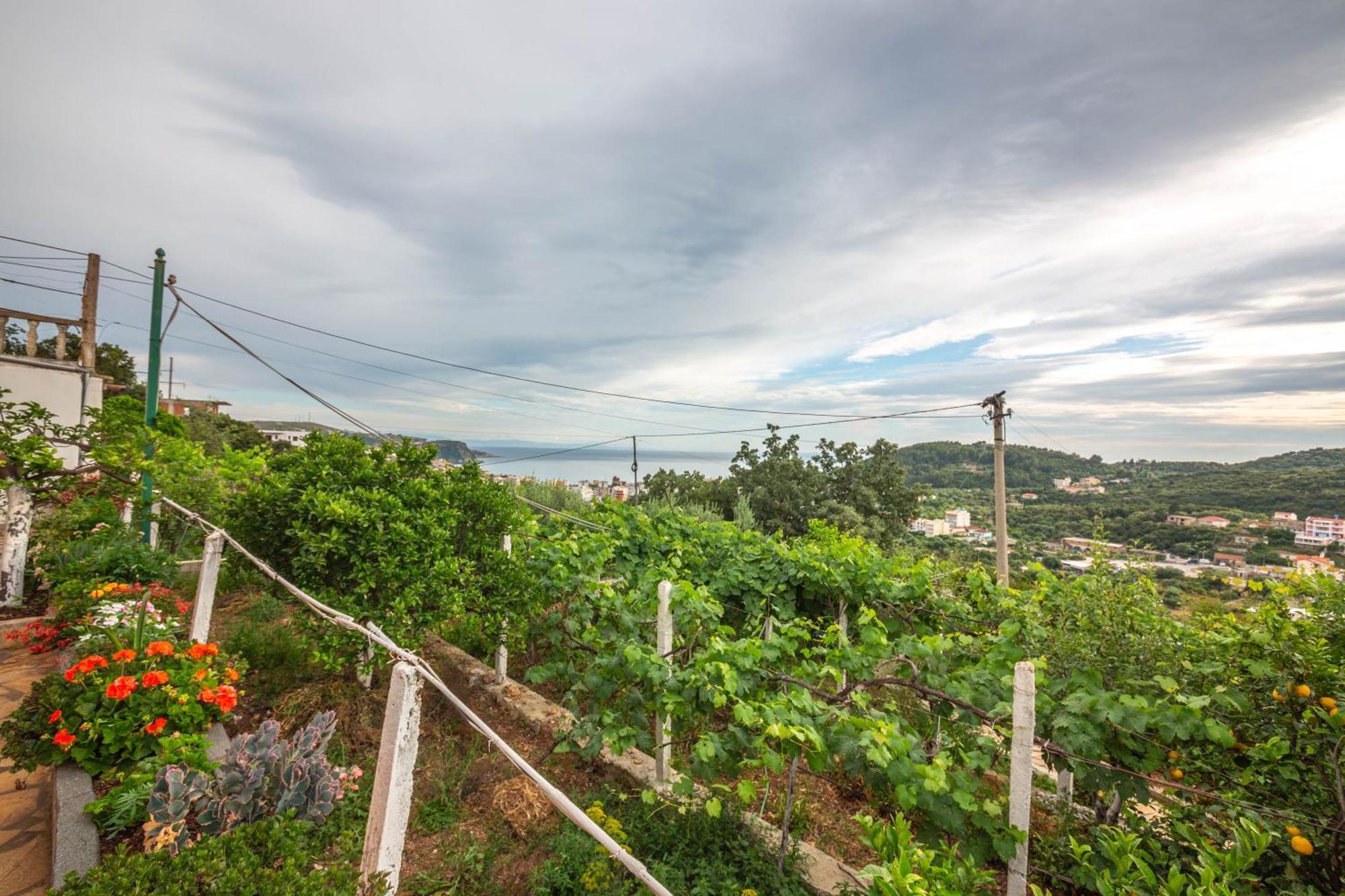 Villa Rondo Himarë Dış mekan fotoğraf